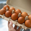 Cage-free eggs produced by Country Eggs, a supplier in Lucerne Valley, California, have been recalled following a salmonella contamination linked to nearly 100 reported illnesses across 14 states. read for more information