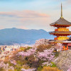 Detailed Address of Aeromexico Airlines Kyoto Office in Japan located at Kyoto, Japan Phone Number: 1-800-237-6639 Working Hours: Monday to Saturday: 9:00-6:30 Location of the Airport Office Airport Name: Kansai International Airport Contact Number: +81724552500 Address and Contact Details of Head Office Paseo de la Reforma 445, Mexico City, D.F., Col. Cuauhtémoc, Mexico, 06500 Contact […]