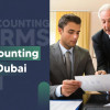 Discover the top accounting firms in Dubai offering expert bookkeeping, tax services, and VAT compliance to support your business's financial success.