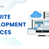 Haya Solutions provides professional NetSuite Development Services to help Canadian businesses scale faster. Our team of experts customizes your ERP with SuiteApps, dashboards, and real-time reporting tools that align with your strategy. 
