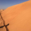 The desert land and arid climate of Saudi Arabia present distinctive issues for civil engineering and construction. By adequately incorporating sand management in all aspects of the planning and implementation phases of any civil engineer design, the civil works within Saudi Arabia can address any environmental condition, while ensuring its long-term stability in a harsh environment.