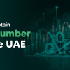 Understanding how to obtain a TIN Number in UAE is essential for compliance as the country's tax regulations continue to develop.