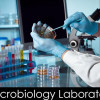 Whether you need pathology testing, environmental analysis, food testing, water quality checks, or advanced chemical examinations, selecting the best scientific laboratory in Mumbai ensures that your results are trustworthy and delivered on time. With numerous labs offering a wide range of services, knowing how to choose the right one becomes essential.